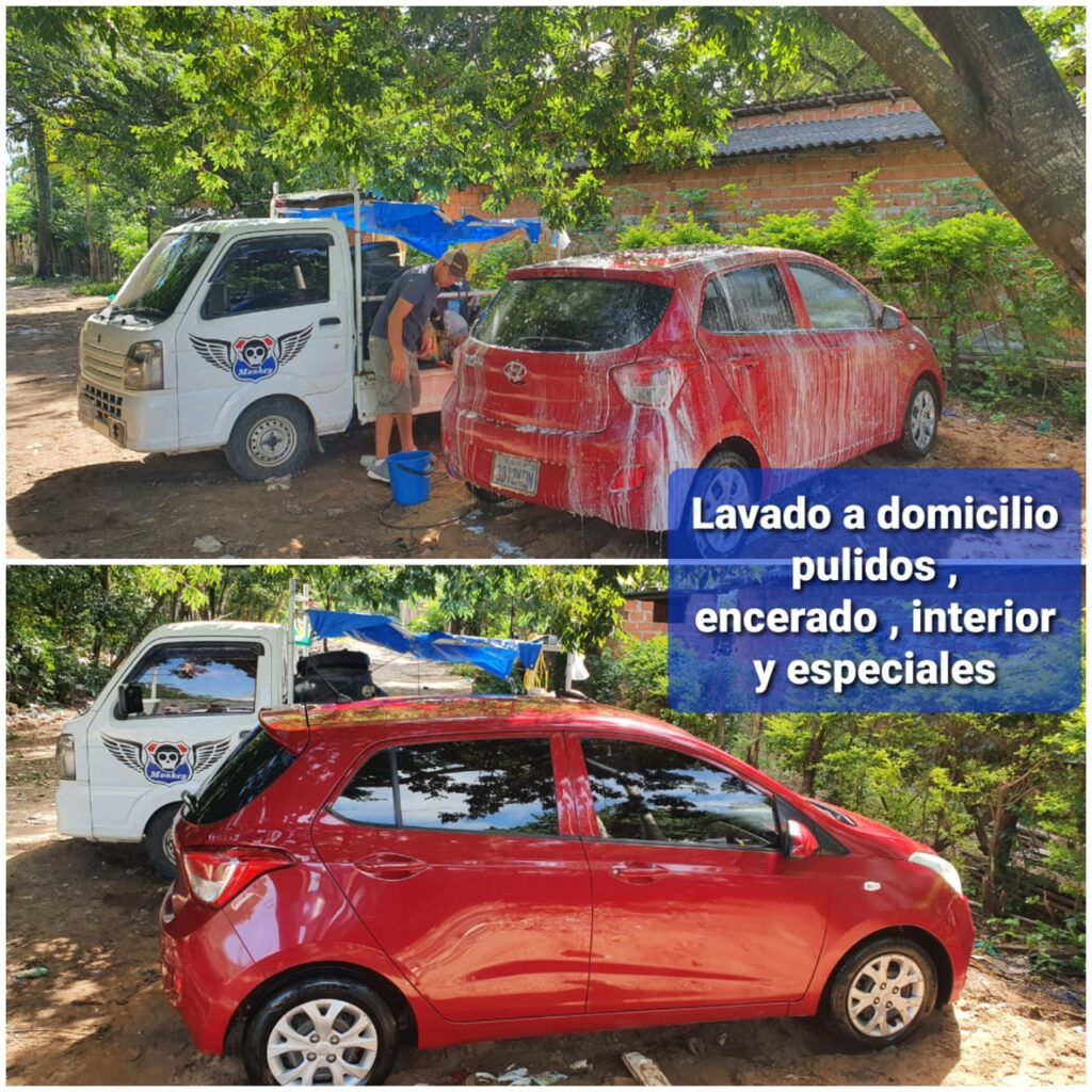 lavado a domicilio