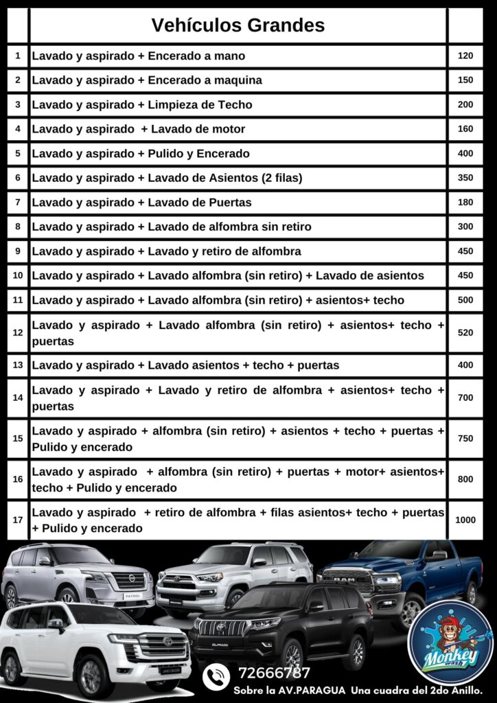 Limpieza de Vehículos Grandes