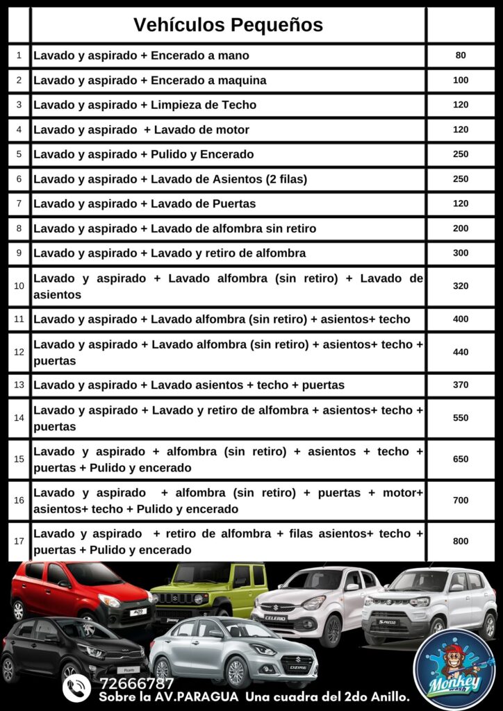 Lavado de Vehículos pequeños